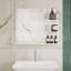 Aoifee Wall Mirror with Shelves