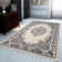 Alizeh Oriental Area Rug