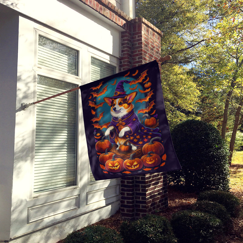 Drapeau de jardin d'Halloween en polyester Jameriah, 40 po x 28 po