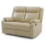 Fauteuil inclinable en cuir Djimon-211808121