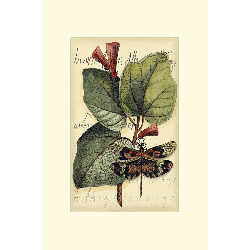 Petite Dragonflies VI - Wrapped Canvas Print, 122cm H x 81cm W x 3.8cm D