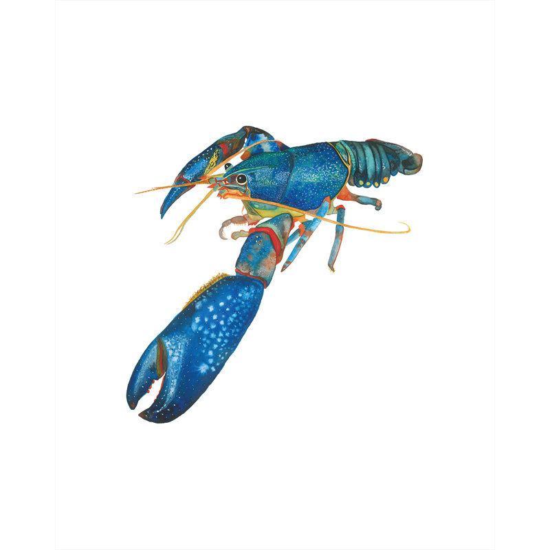 «Blue Lobster», reproduction d'impression sur affiche, H 24 po x P 18 po, Toile tendue