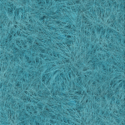 Indoor Rug
