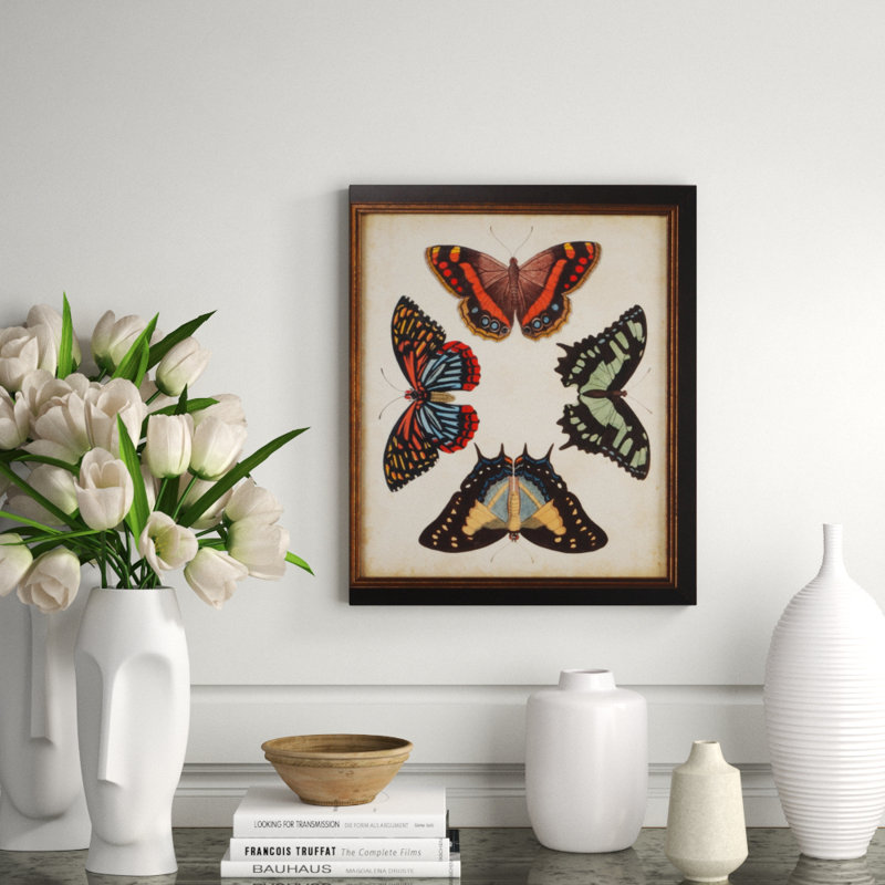 Display Of Butterflies IV Print