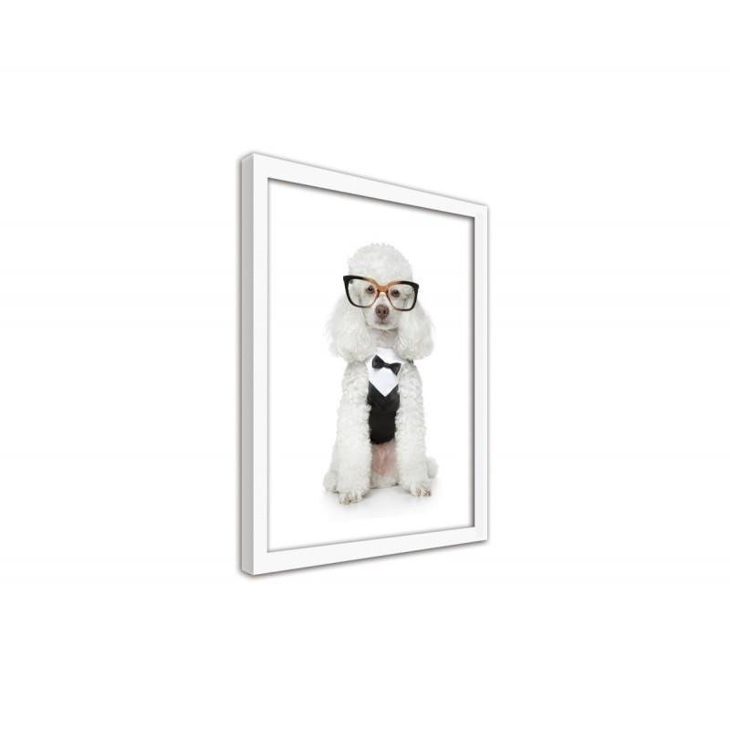 Gerahmter Fotodruck Elegant Dog