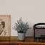 Arrangement floral Gira en pot