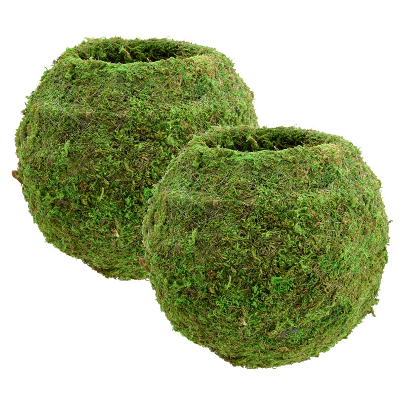 Bumgarner Pot Planter, 3.5" H x 4" W x 4" D, Green