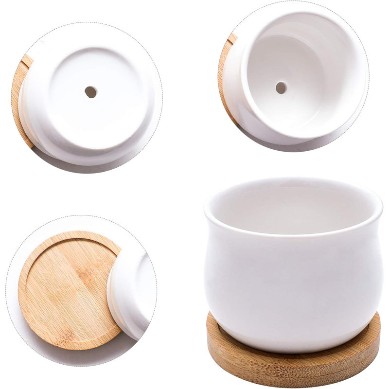 Paquet de 8 pots succulents en céramique blanche de 2,6 po avec plateaux en bambou