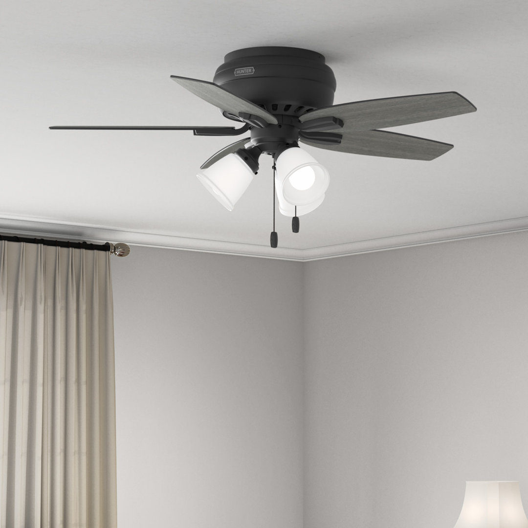 Newsome 42" 5 - Blade Traditional Indoor Flush Mount Ceiling Fan with Lights and Pull Chains Hunter Fan Blade 