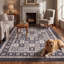 Tapis Cypress2 traditionnel persan audacieux, gris ivoire et beige, lavable en machine, antidérapant, à poils courts, pour intérieur et extérieur, adapté aux animaux domestiques, idéal pour le salon, la chambre, la salle à manger, l'entrée, le corridor ou le bureau.-411988365