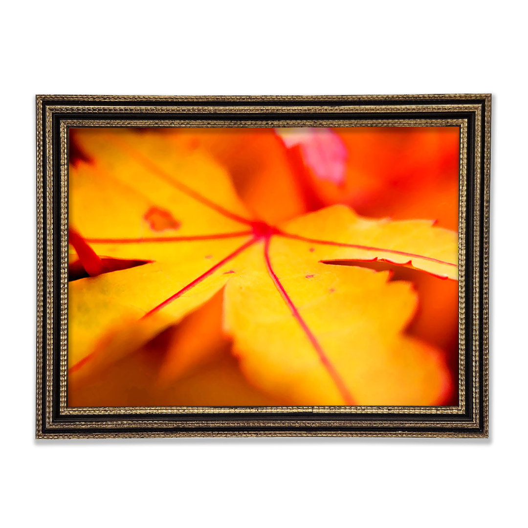 Orange Winter Leaf - Druck