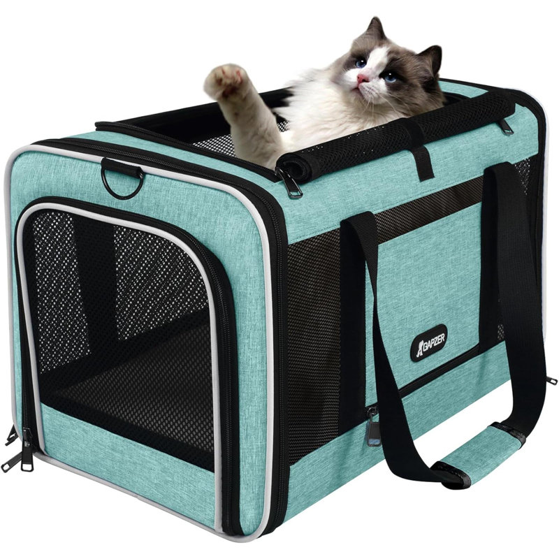 Sac de transport d'air pour chat avec aérateur de chat approuvé par la TSA