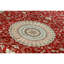 Oriental Area Rug
