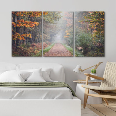 Automne Automne Splendeur Forêt Sentier Nature Nature Photographie Réalisme Paysage moderne
