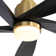Damecia 52'' Ceiling Fan with LED Lights