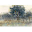 Forêt Moody peinte-1658124480-1693848551-1693848552