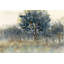 Forêt Moody peinte-1658124492-1693848552-1693848551
