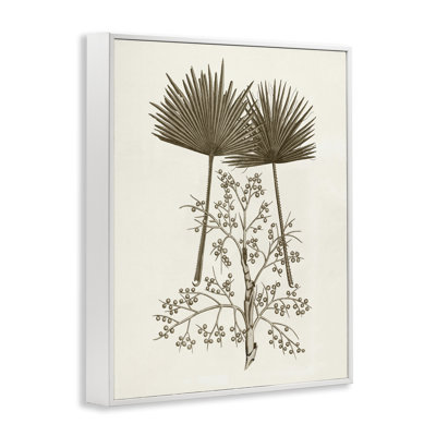 Giclée encadrée de feuilles de palmier et d'olivier, conception de Phillipa Katz