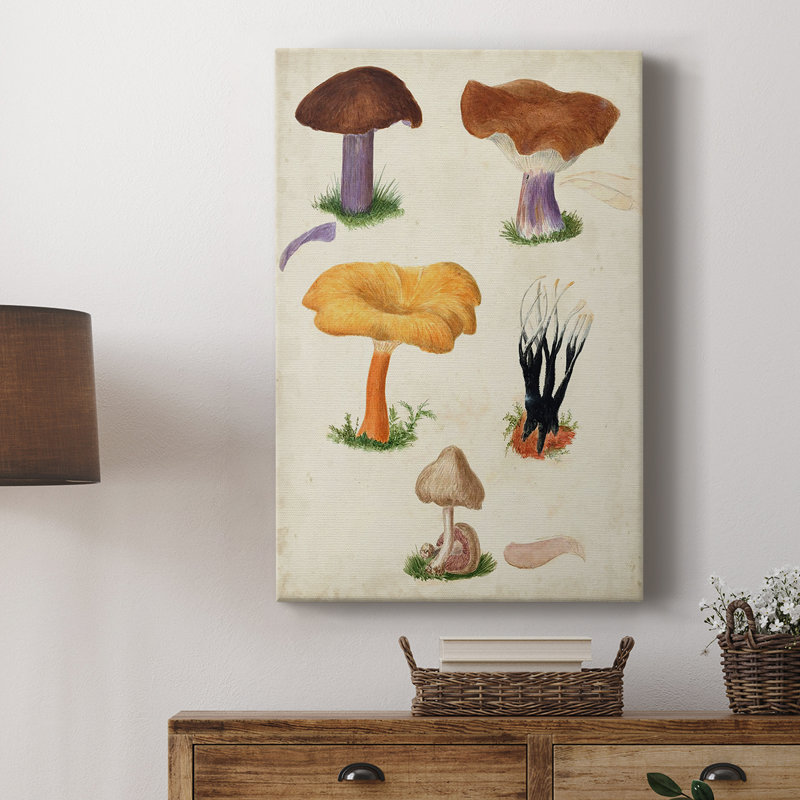 Mushroom Species VII - Gallery Cavas, H 18 po x l 12 po