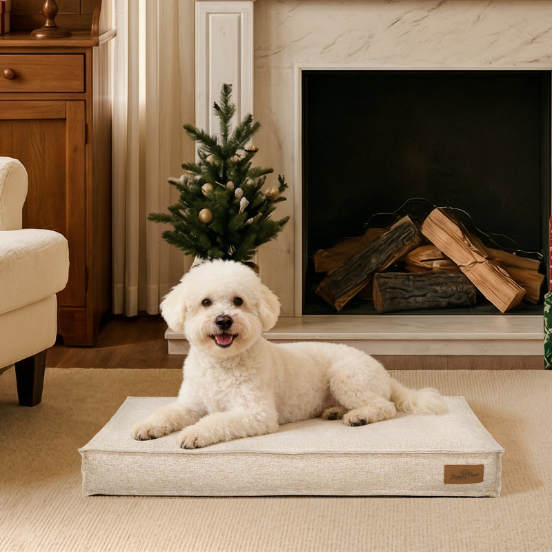 Pet Bed Firm Support Crate Mattress, Small (10cm H x 75cm W x 50cm D), Beige