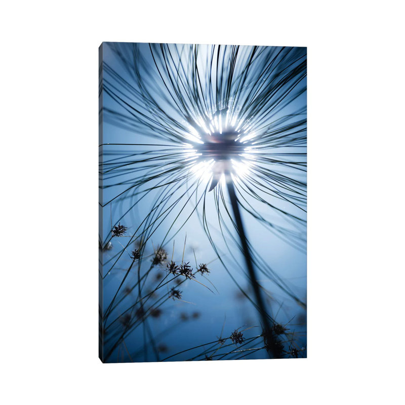 Jardin Botanique by Stefan Hefele - Wrapped Canvas Print, 101.6 cm H x 66.04 cm W x 3.175 cm D