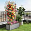 Lit de jardin surélevé en bois avec treillis, idéal pour le jardinage vertical et l'efficacité de l'espace, durable et polyvalent pour diverses plantes-1794290075