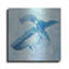 «Blue Mama V2» par Phyllis Adams