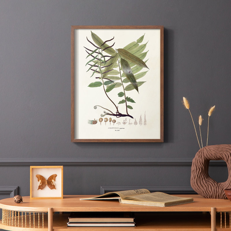 Botanical Society Ferns VI, reproduction encadrée - bois massif, Brun, H 14 po x l 11 po