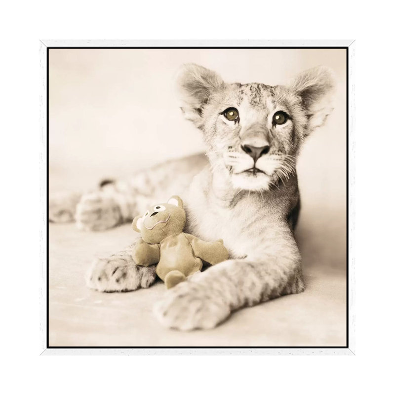 Arjuna And Teddy by Rachael Hale - Print on Canvas, 93.98 cm H x 93.98 cm W, White Framed