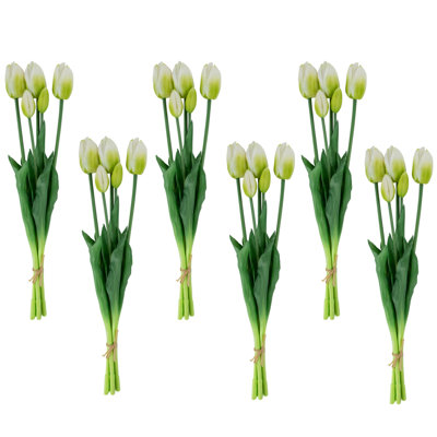 Tulip Arrangement