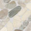 Mosaïque de galets en pierre naturelle Daltile Pebble Oasis 11 po x 11 po (11 pièces par carton) (10,78 pieds carrés par carton)