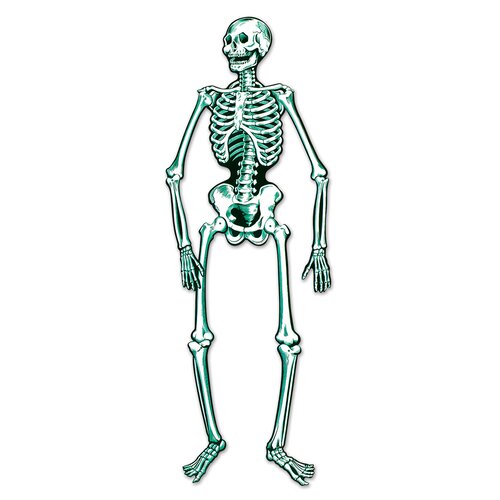 Skeleton | Wayfair