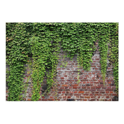 Delema Brick Wall Mural