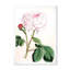 Fleur rose rétro - peinture sur toile-59815353-59815354