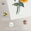 Art Remedy, impressions sur toile, tournesol-111155659-111155662