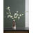 Arrangement