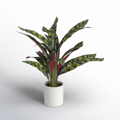 18.9'' Faux Calathea Plant in Ceramic Pot