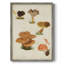 Reproduction encadrée de champignon V - Bois massif-1214580294