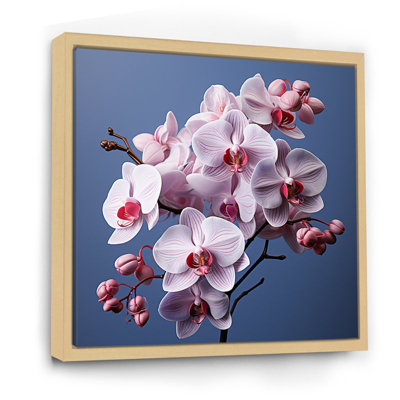 Orchidées mauves I - orchidées murales, H 36 po x l 36 po x P 1,5 po, Cadre naturel flottant