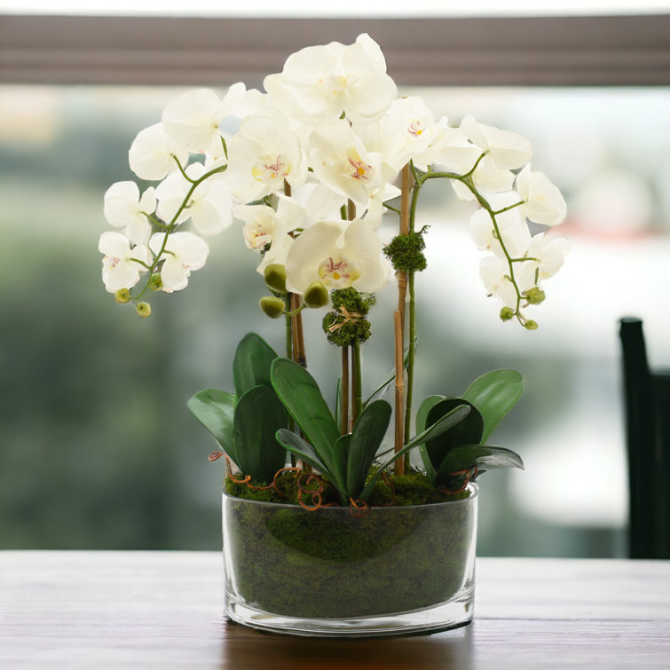 Organic Modern Orchid Arrangement