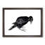 Crow by Katsushika Hokusai - Framed Print-55490328-55490329