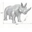 Rhinocéros Statue avec miroir diamant Exterio