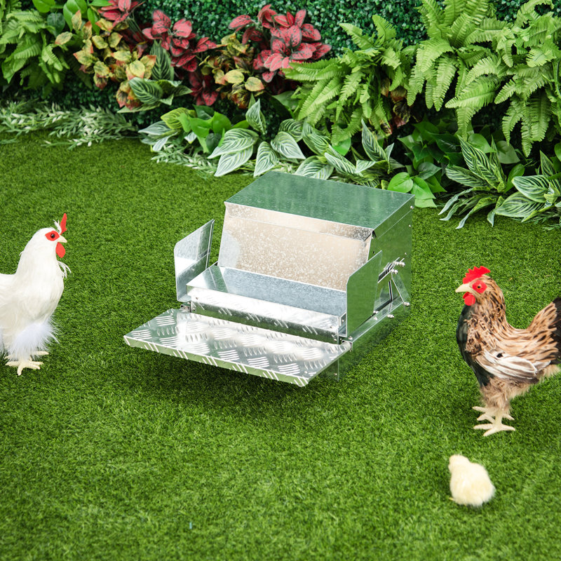 Équipement d'alimentation en acier galvanisé et en aluminium pour poulets - capacité de 30 lb, gain de temps et alimentation automatique de la volaille facilitant la reproduction