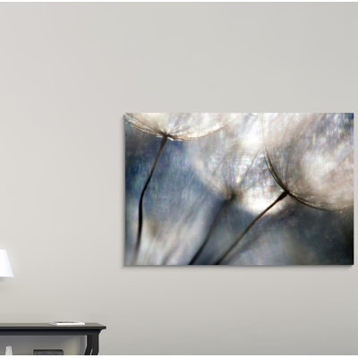 «Carefree» par Ursula Abresch, reproduction sur toile