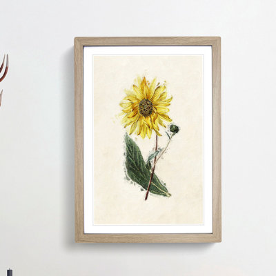 Illustration of a Yellow Sunflower - Picture Frame Painting Print