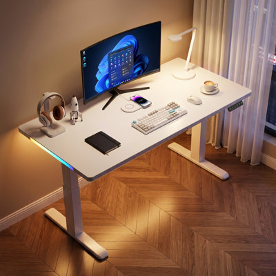55" RGB Electric Standing Desk, Height Adjustable Gaming Desk with Dual Side Light Strips