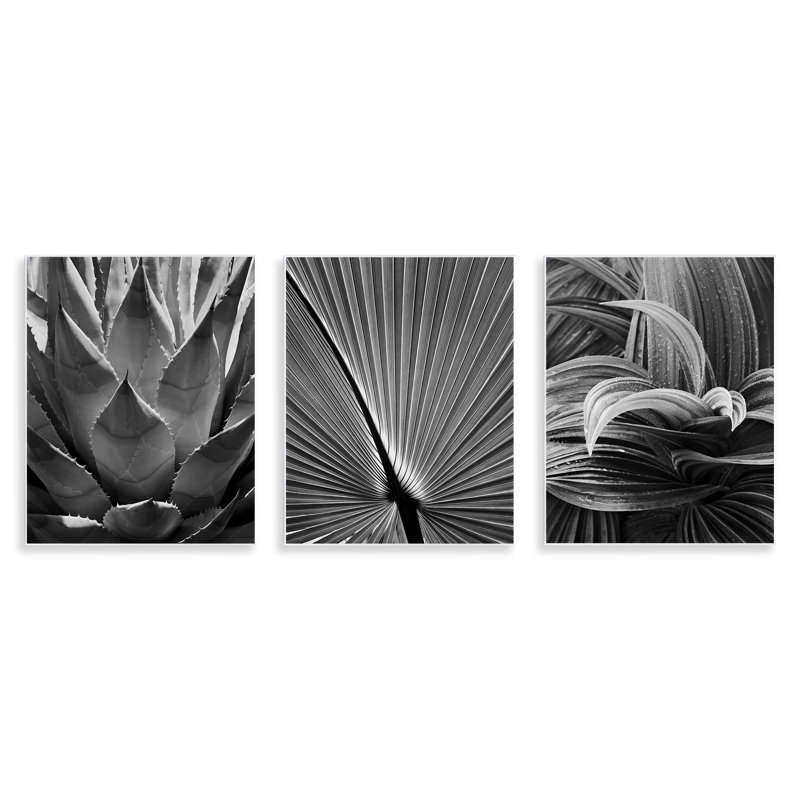  «Palm Frond» par Chip Forelli