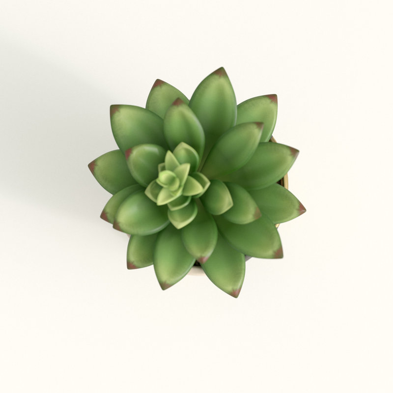 Plante grasse artificielle en pot 2 po, Gris