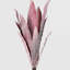 Gladiola Arrangement