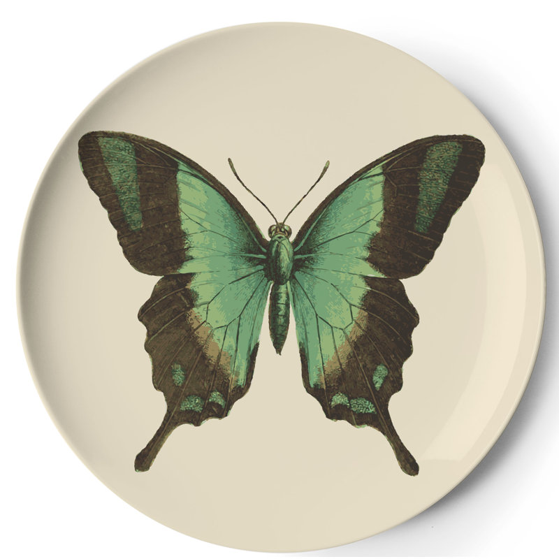 Metamorphosis Round Coaster